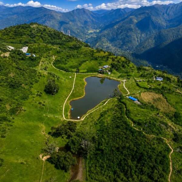 Timuray Taal