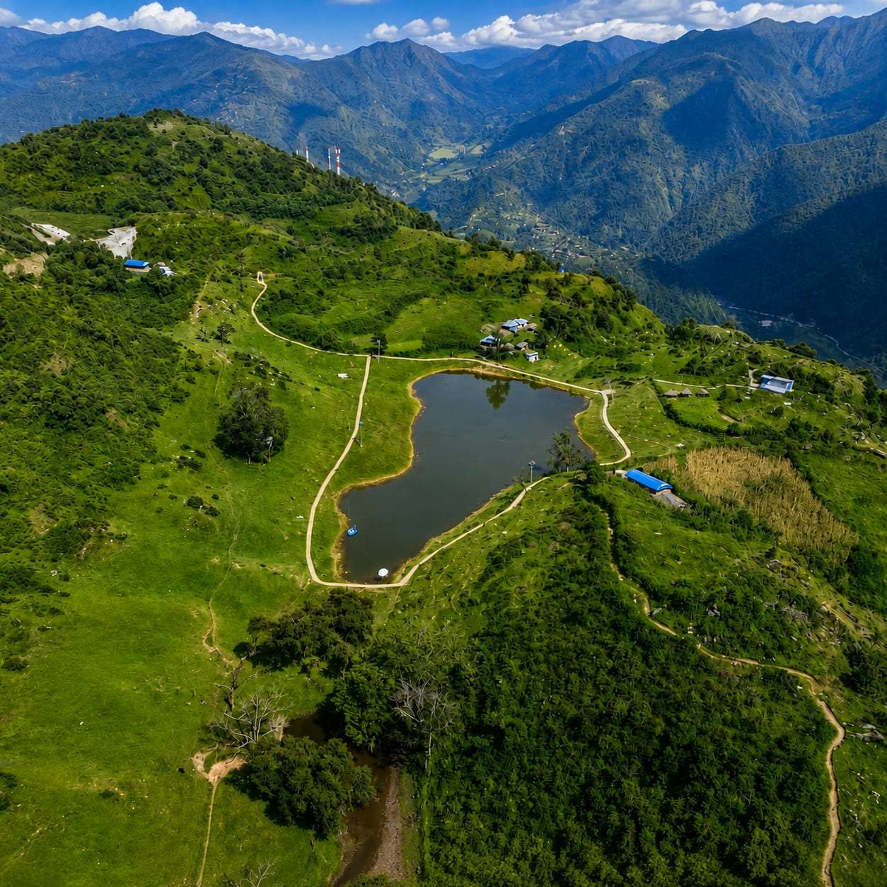 Timuray Taal